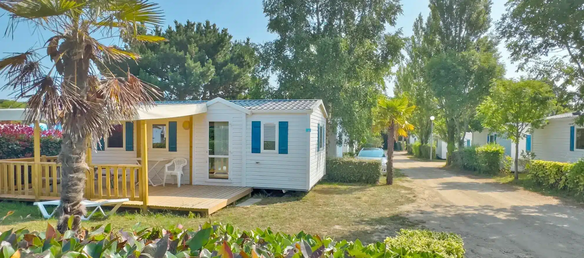 camping les palmiers trinité sur mer hébergements